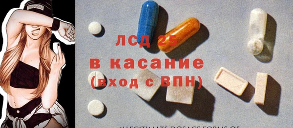 стафф Вяземский