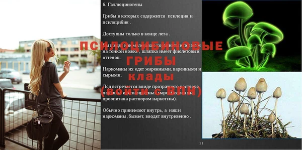 соль ск Вязники