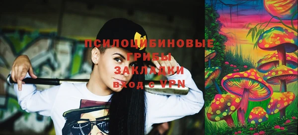 стафф Вяземский