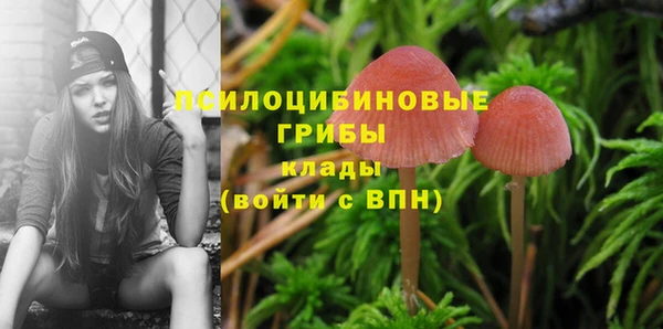 соль ск Вязники