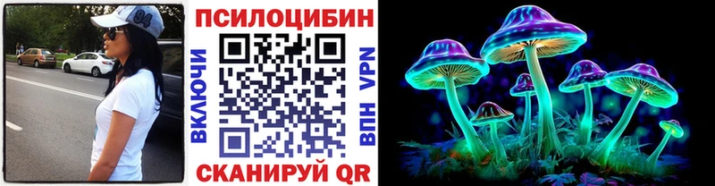 Псилоцибиновые грибы Psilocybe  купить   мориарти какой сайт  Елец  MEGA как войти 